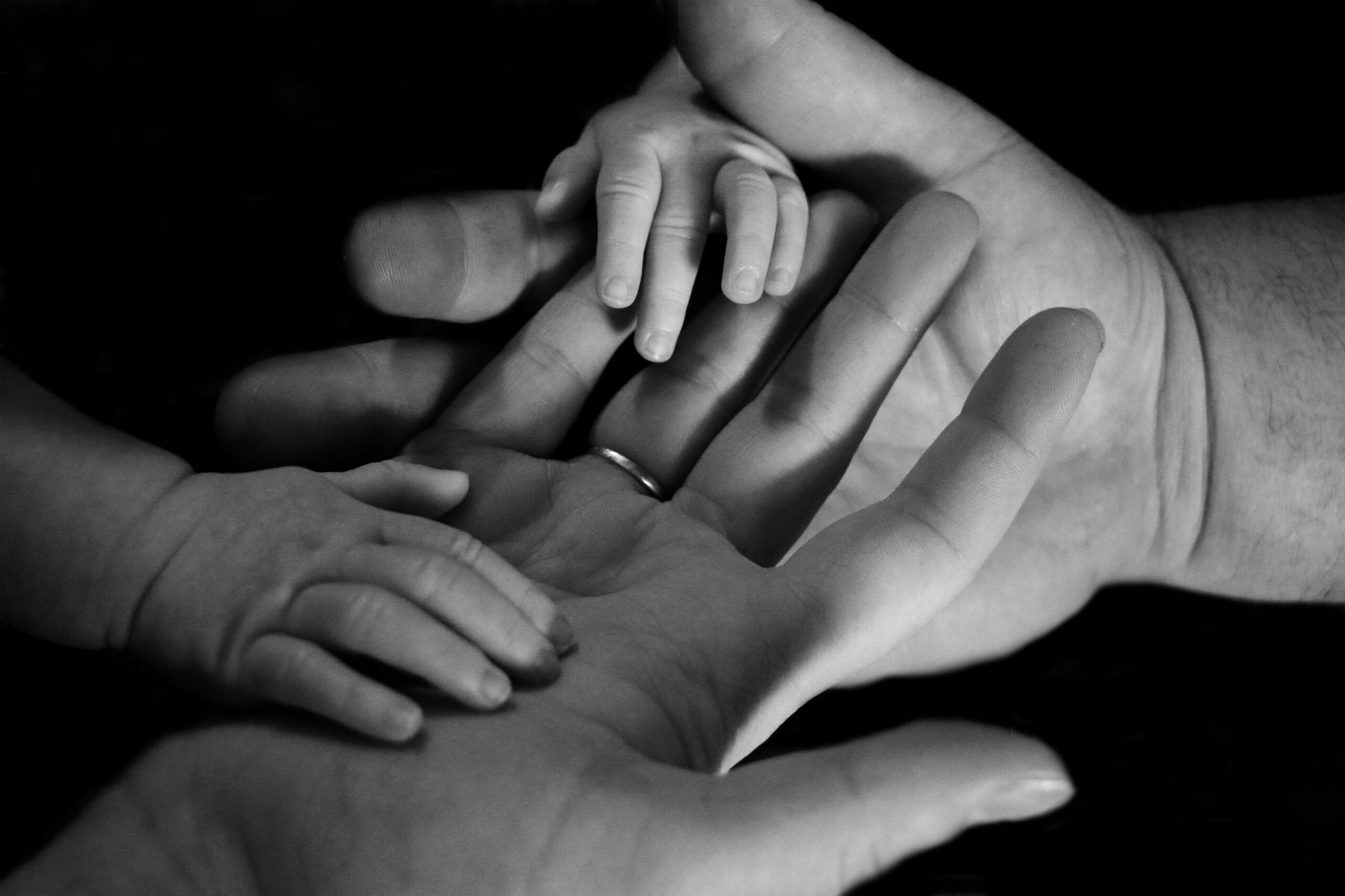 liv-bruce-odIhQypCuUk-unsplash liv-bruce-odIhQypCuUk-unsplash